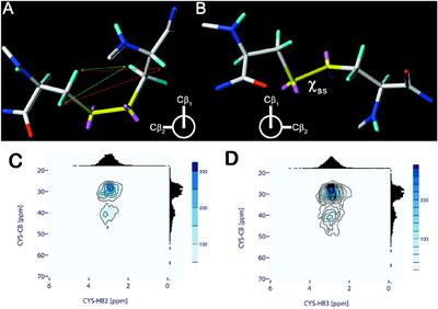 Cysteines and Disulfide Bonds as Structure-Forming Units: Insights From Different Domains of Life and the Potential for Characterization by NMR